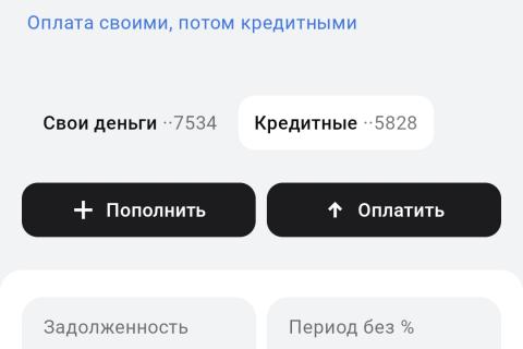 Вот моя на данный момент задолженность