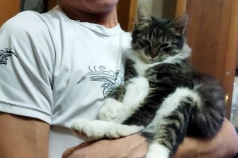 Помощь